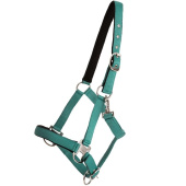 Halfter Double Buckle Türkis Halfter Double Buckle Türkis