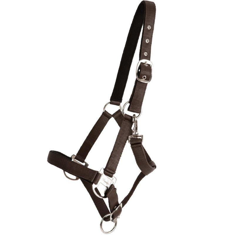 Halfter Double Buckle Braun