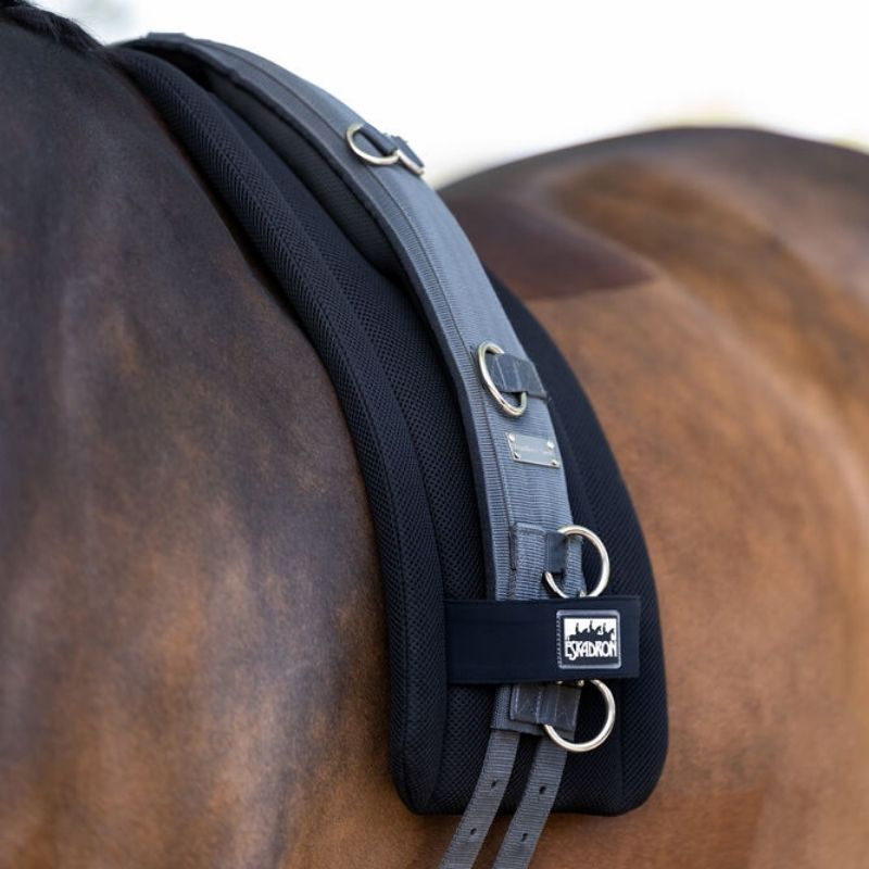 Longierpad Mesh Schwarz