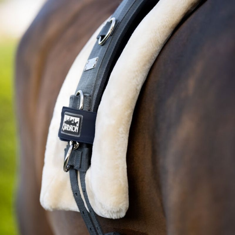 Longierpad Roller Marineblau