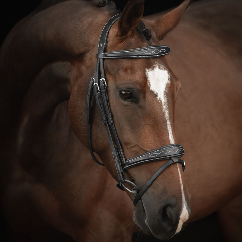 Trense Supreme Fancy Schwarz