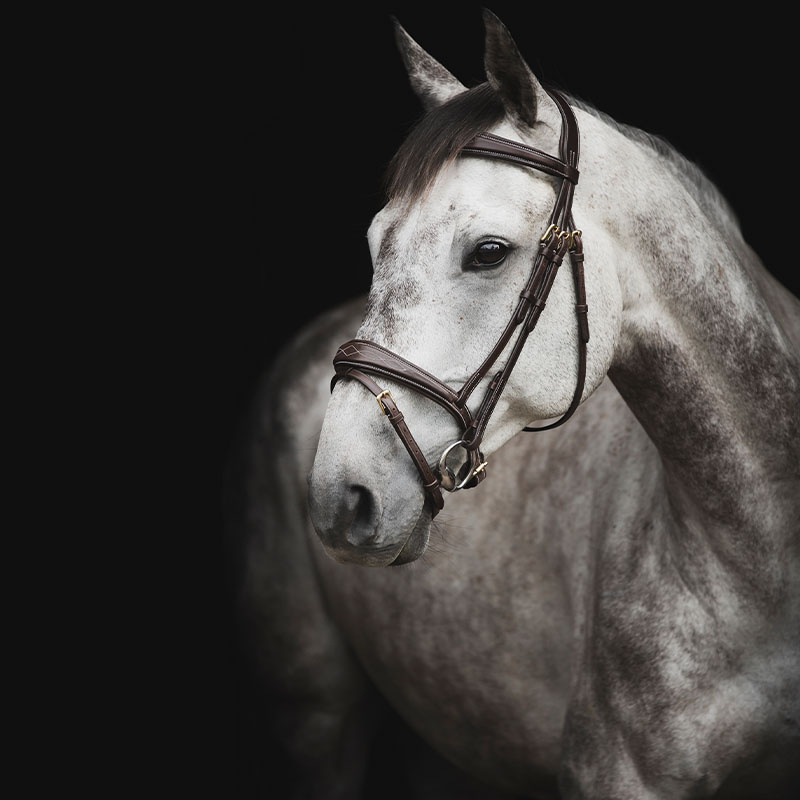 Trense Supreme Fancy Dunkelbraun