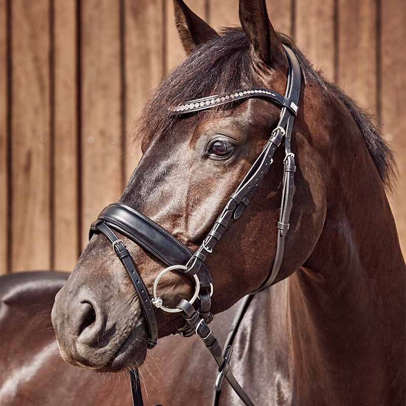 Doppelt gebrochenes Gebiss Curved mit losen Ringen HG