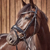 Doppelt gebrochenes Gebiss Curved mit losen Ringen HG Doppelt gebrochenes Gebiss Curved mit losen Ringen HG