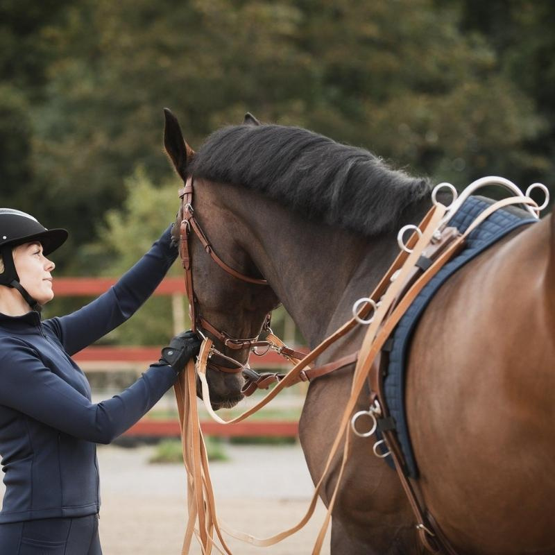 Hoher Fahrbügel für Longiergurt Silber 