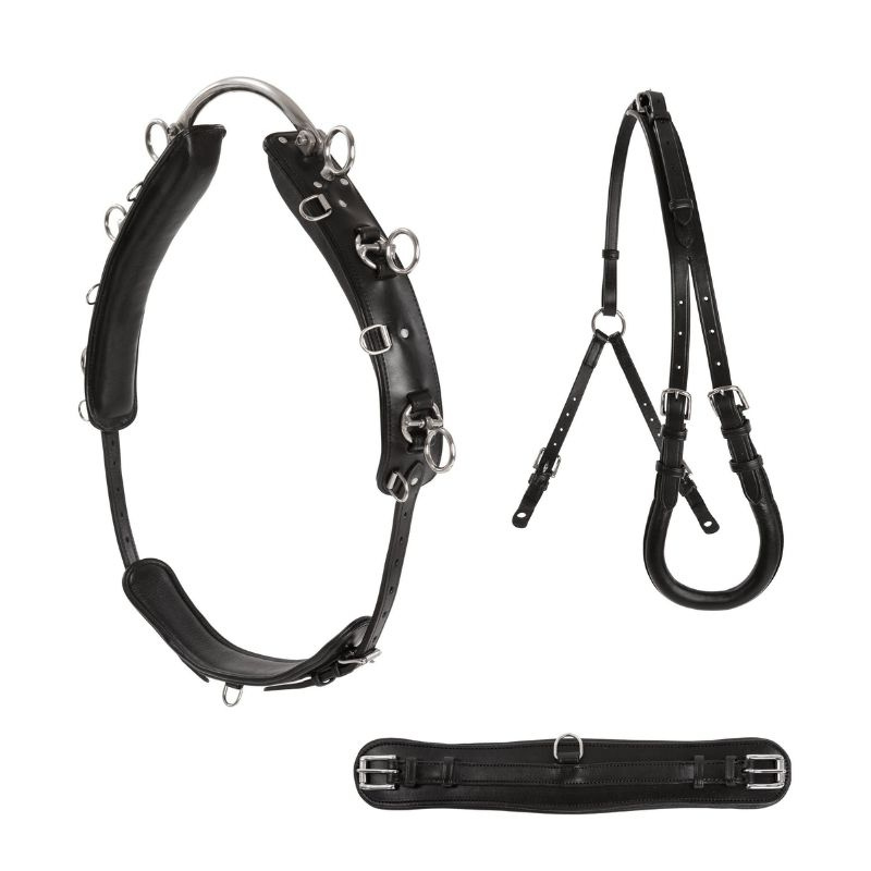 Longiergurt Shetland/Pony Schwarz