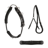 Longiergurt Shetland/Pony Schwarz Longiergurt Shetland/Pony Schwarz