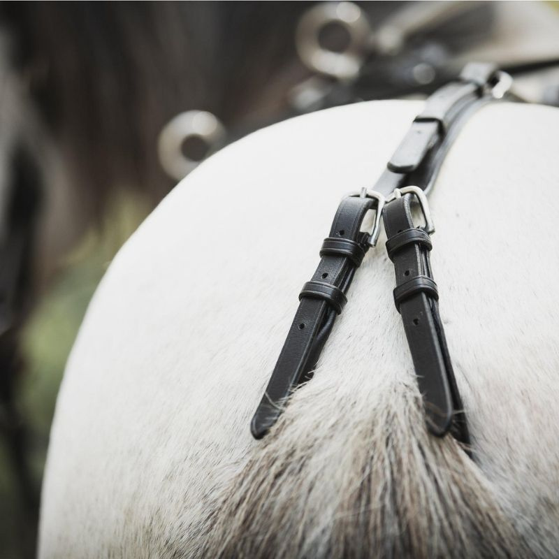 Longiergurt Shetland/Pony Schwarz