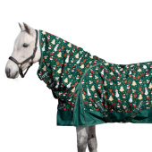 Outdoordecke Basic Plus Christmas Edition 600D 150g Grün Outdoordecke Basic Plus Christmas Edition 600D 150g Grün