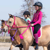 Reitpad Fauxfur Rosa Reitpad Fauxfur Rosa