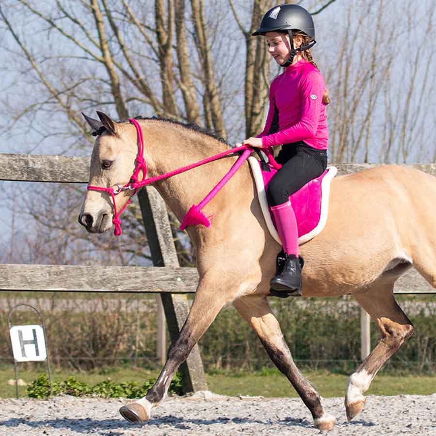 Reitpad Fauxfur Rosa