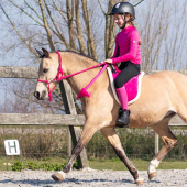 Reitpad Fauxfur Rosa Reitpad Fauxfur Rosa