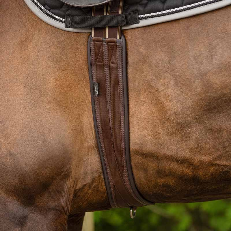 Anatomischer Sattelgurt Basic Pro Braun