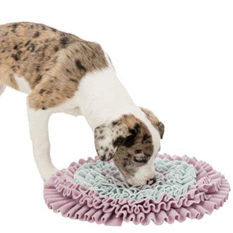 Schnüffelteppich Junior Sniffing Carpet Level 1 Grau/Türkis/Rosa