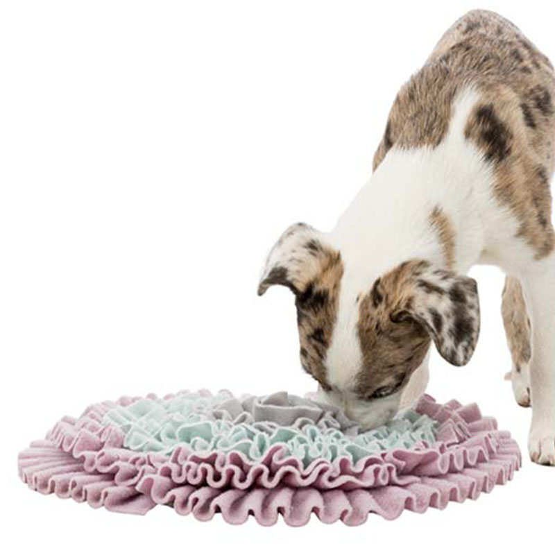 Schnüffelteppich Junior Sniffing Carpet Level 1 Grau/Türkis/Rosa
