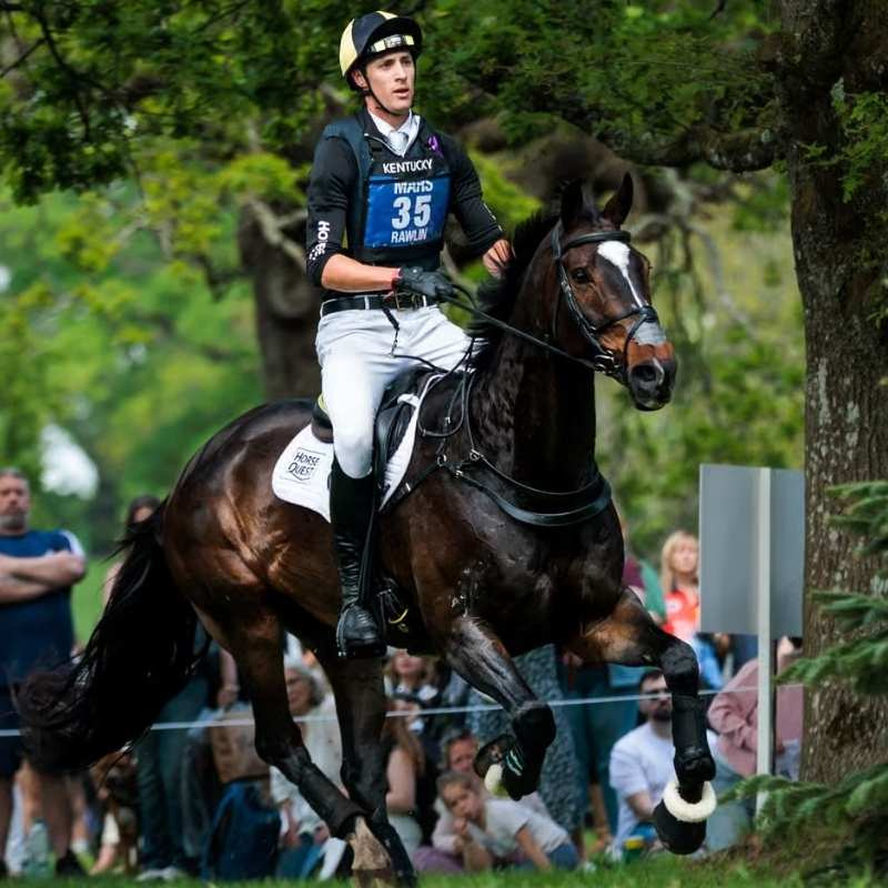 Nummernhalter Eventing Bib Schwarz