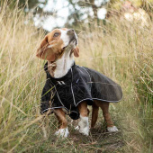 Hunde-Softshellmantel Buddy 2.0 Long Back Schwarz Hunde-Softshellmantel Buddy 2.0 Long Back Schwarz