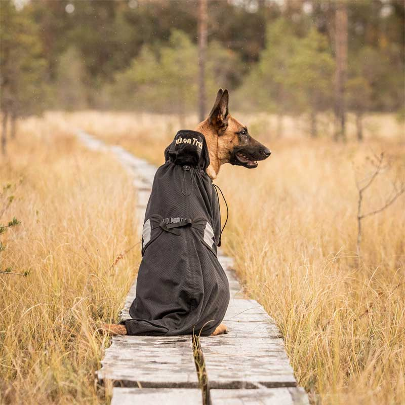 Hundemantel aus Netzstoff Schwarz
