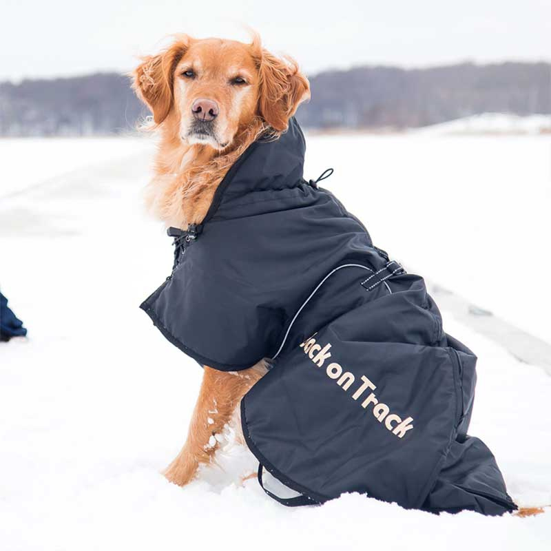 Hundemantel Schwarz