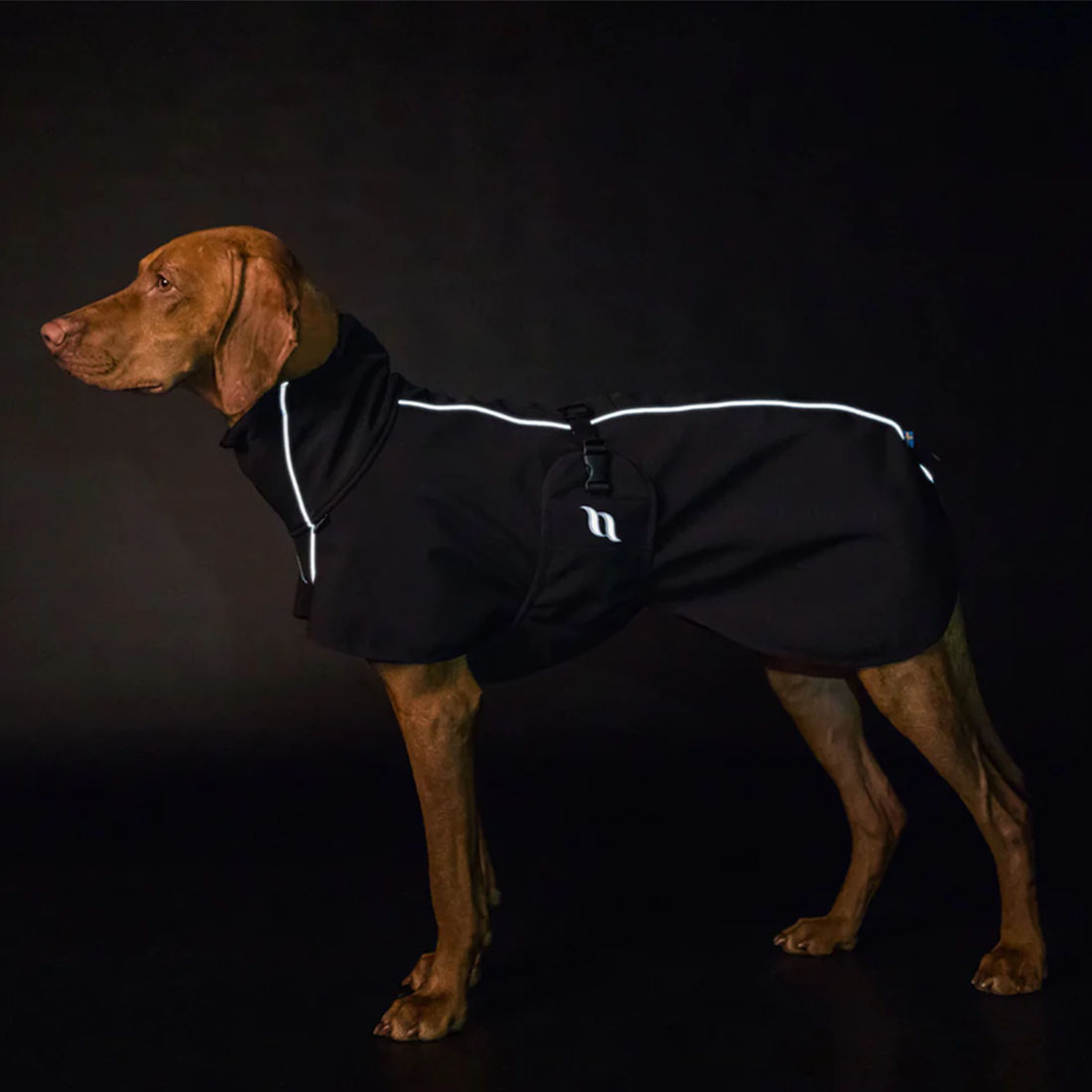 Hundemantel Bark Schwarz