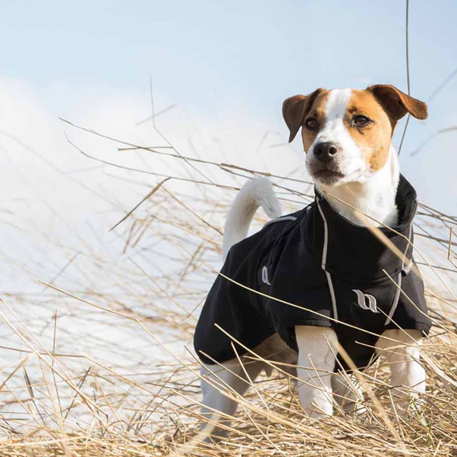 Hundemantel Bark Schwarz