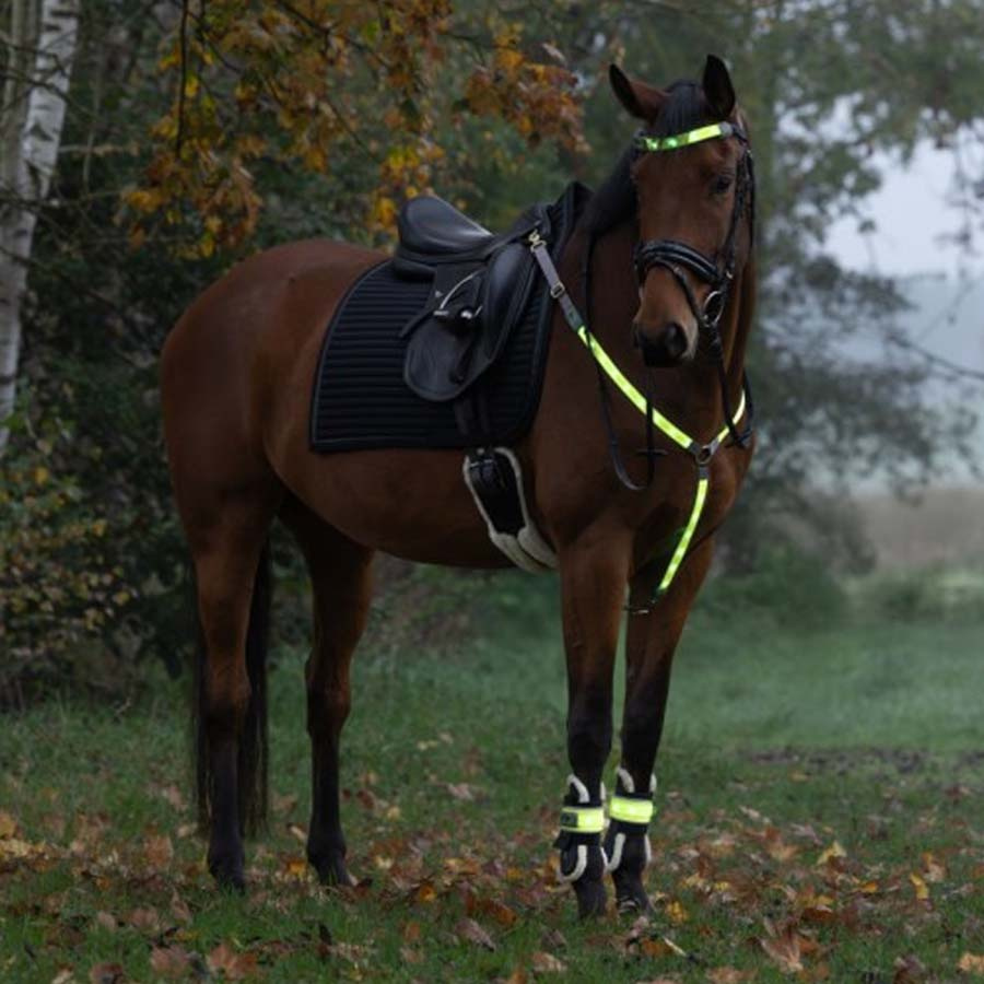 Beinreflektoren High-Visibility LED 2-pack Gelb