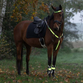 Beinreflektoren High-Visibility LED 2-pack Gelb Beinreflektoren High-Visibility LED 2-pack Gelb