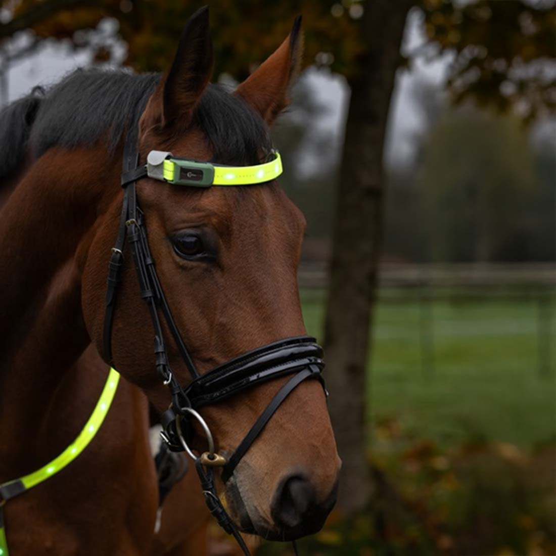 Hoofdband High-Visibility LED Gelb