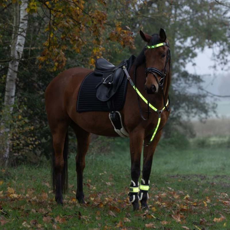 Hoofdband High-Visibility LED Gelb