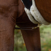 Brust High-Visibility LED Gelb Brust High-Visibility LED Gelb