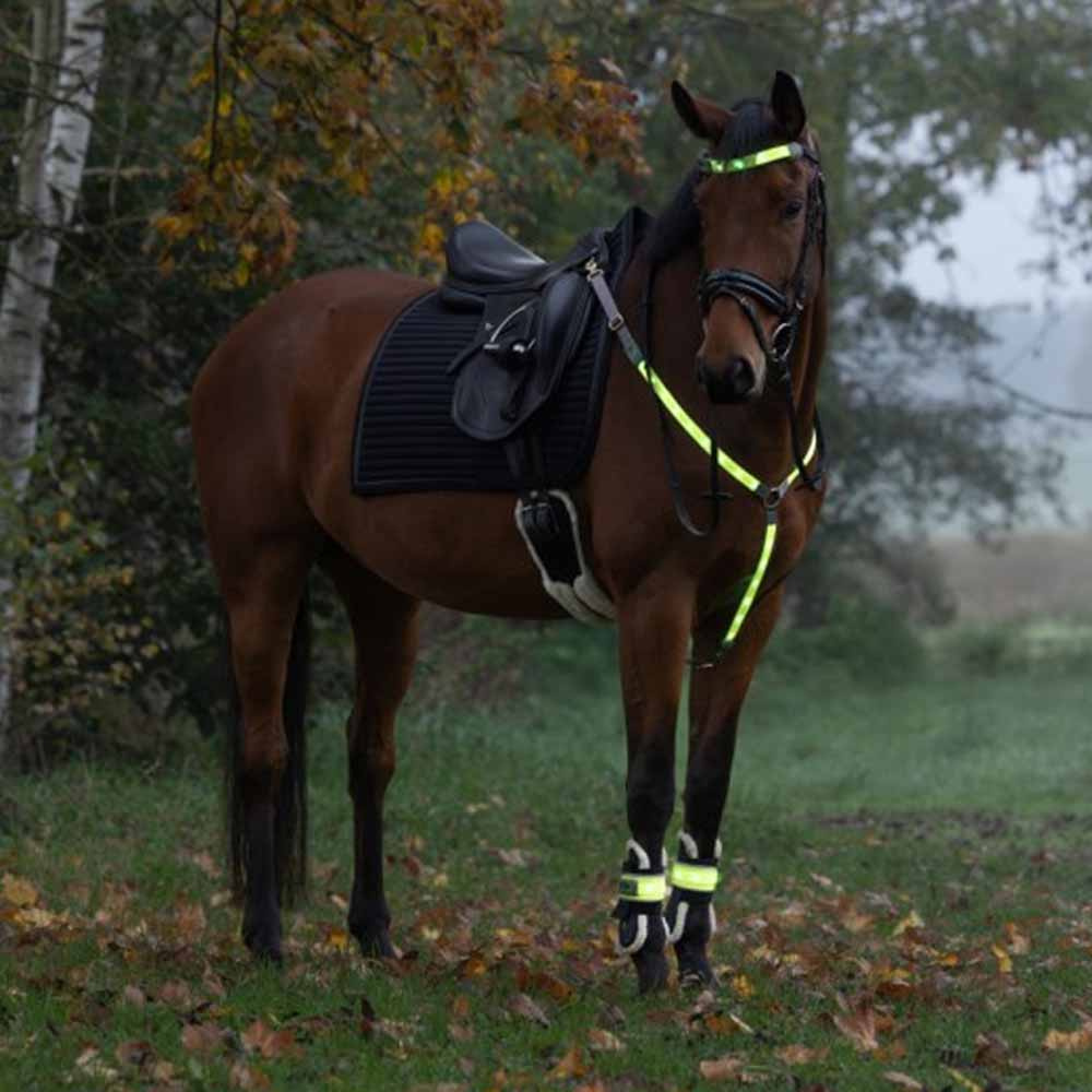 Brust High-Visibility LED Gelb