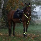 Brust High-Visibility LED Gelb Brust High-Visibility LED Gelb