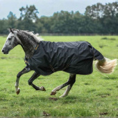 Outdoordecke Irish Turnout 100g Schwarz/Gold Outdoordecke Irish Turnout 100g Schwarz/Gold