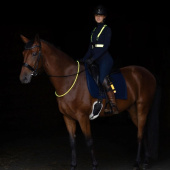 Reflex LED Functional Vest Gelb Reflex LED Functional Vest Gelb