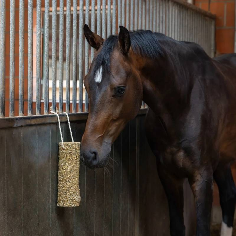 Pferdespielzeug Nibbler Stick Metabolism