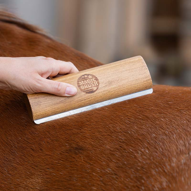 Fellstriegel Fellboy Long Braun