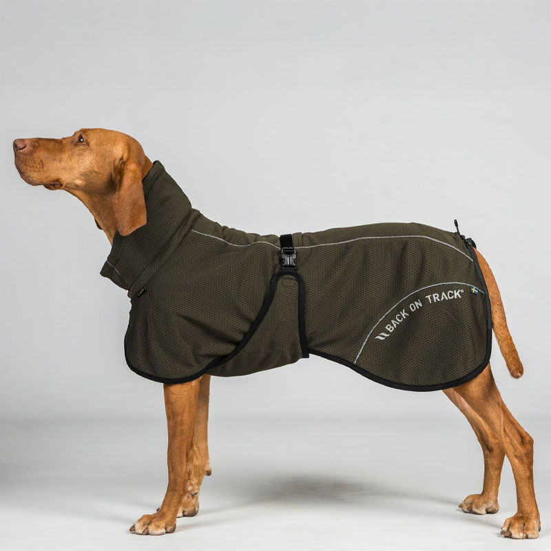 Hunde-Netzmantel Bay High Tail Olivgrün