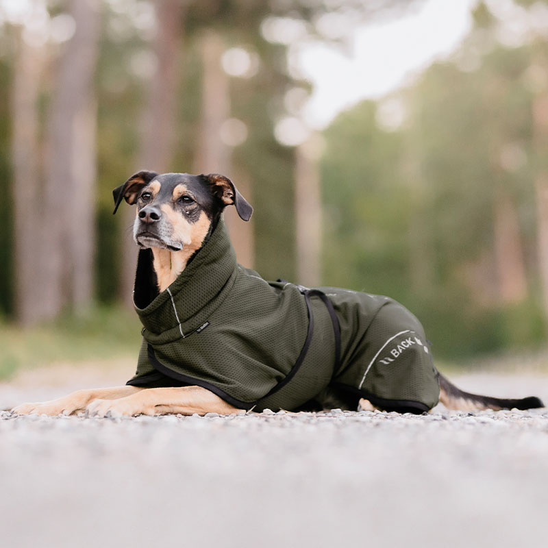 Hunde-Netzmantel Bay High Tail Olivgrün
