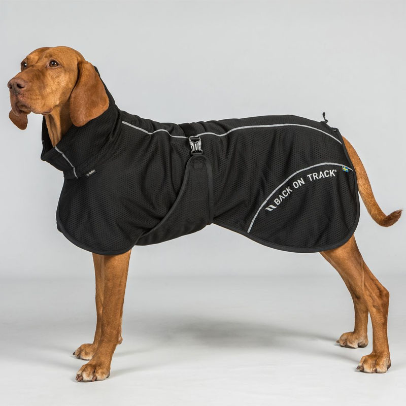 Hunde-Netzmantel Bay High Tail Schwarz