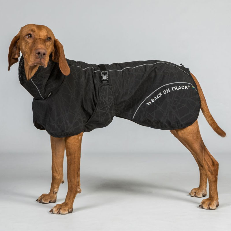 Hunde-Regenmantel Bay High Tail Schwarz