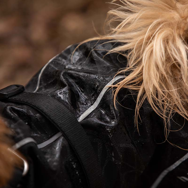 Hunde-Regenmantel Bay High Tail Schwarz