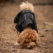 Hunde-Regenmantel Bay High Tail Schwarz Hunde-Regenmantel Bay High Tail Schwarz
