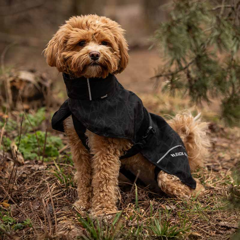 Hunde-Regenmantel Bay High Tail Schwarz