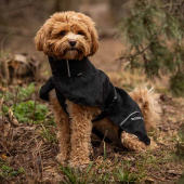 Hunde-Regenmantel Bay High Tail Schwarz Hunde-Regenmantel Bay High Tail Schwarz