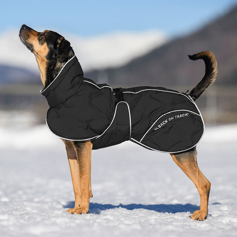 Hunde-Wintermantel Bay High Tail Schwarz