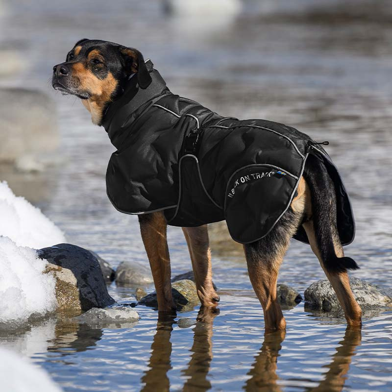 Hunde-Wintermantel Bay High Tail Schwarz