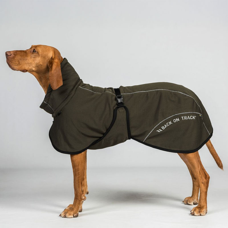 Hunde-Netzmantel Bay Low Tail Olivgrün