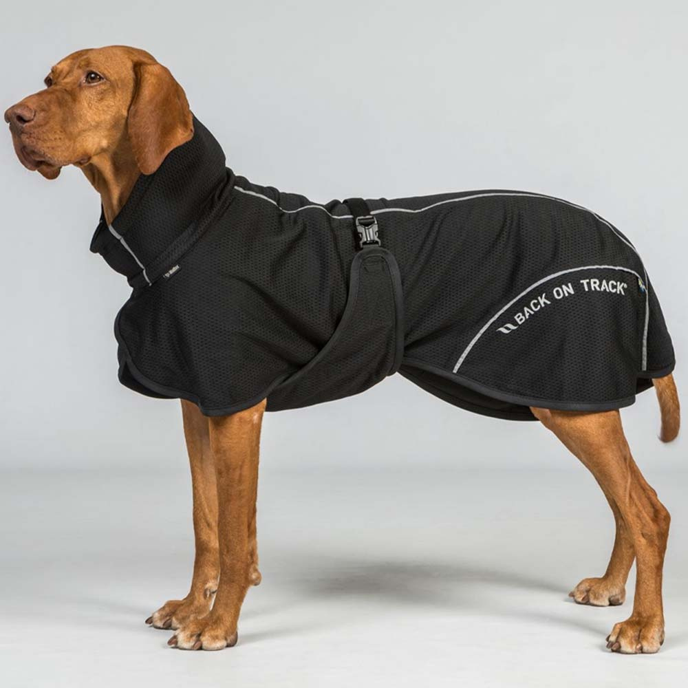 Hunde-Netzmantel Bay Low Tail Schwarz