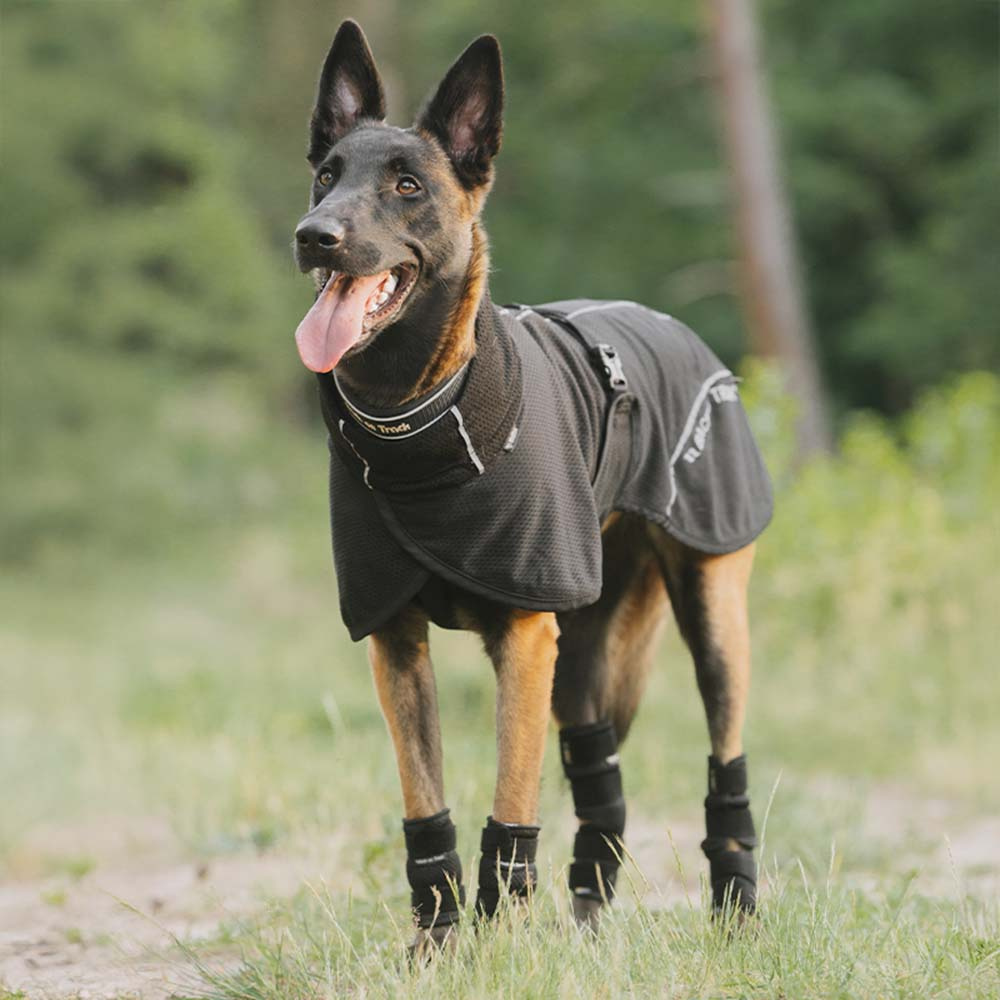 Hunde-Netzmantel Bay Low Tail Schwarz