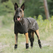 Hunde-Netzmantel Bay Low Tail Schwarz Hunde-Netzmantel Bay Low Tail Schwarz